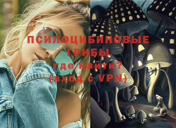 молекула духа Арсеньев
