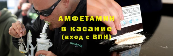 молекула духа Арсеньев