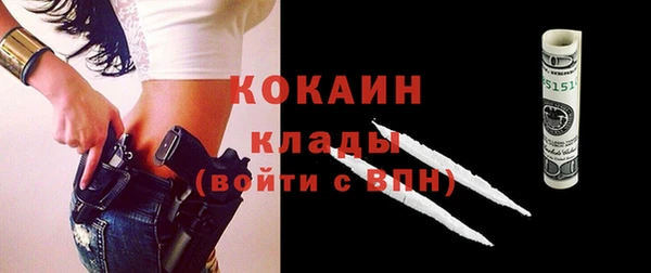 молекула духа Арсеньев