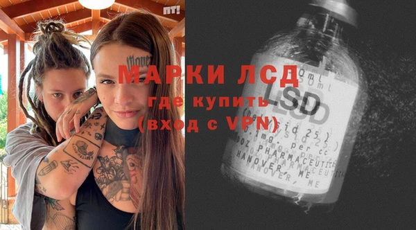 молекула духа Арсеньев