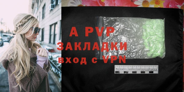молекула духа Арсеньев