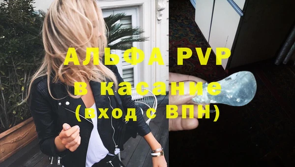 молекула духа Арсеньев