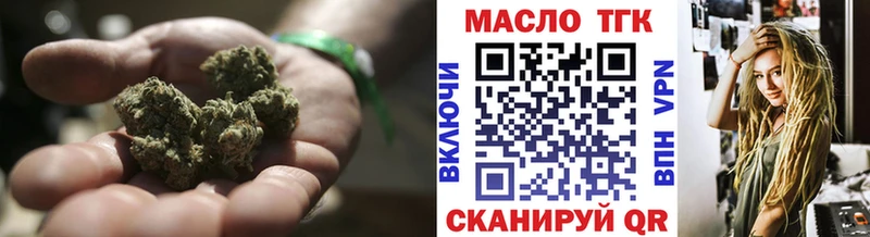 Купить где Городец ТГК концентрат