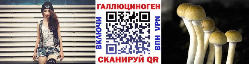 Псилоцибиновые грибы MAGIC MUSHROOMS  Купить  Городец 